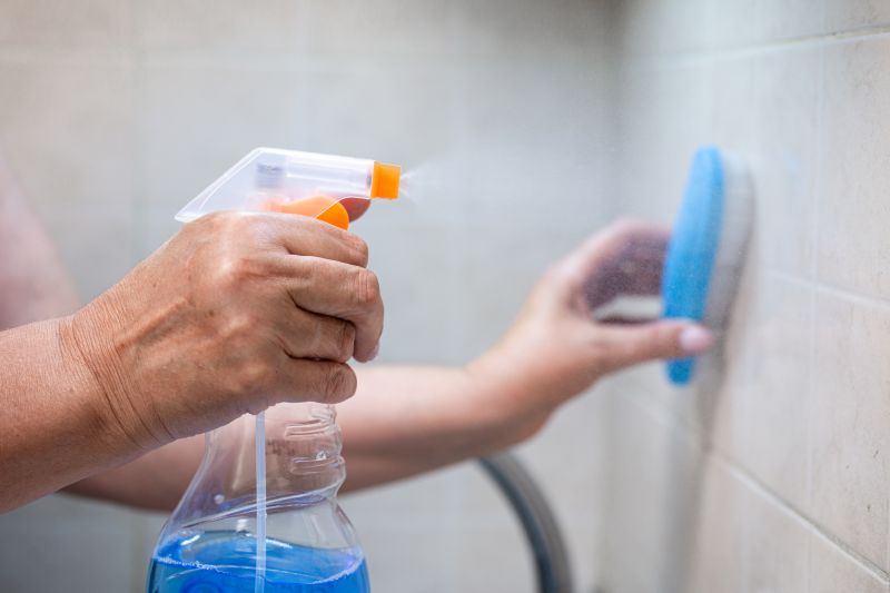Grout Cleaning detail